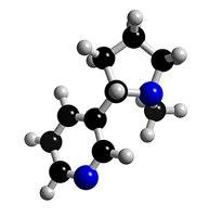 Nicotine molecule